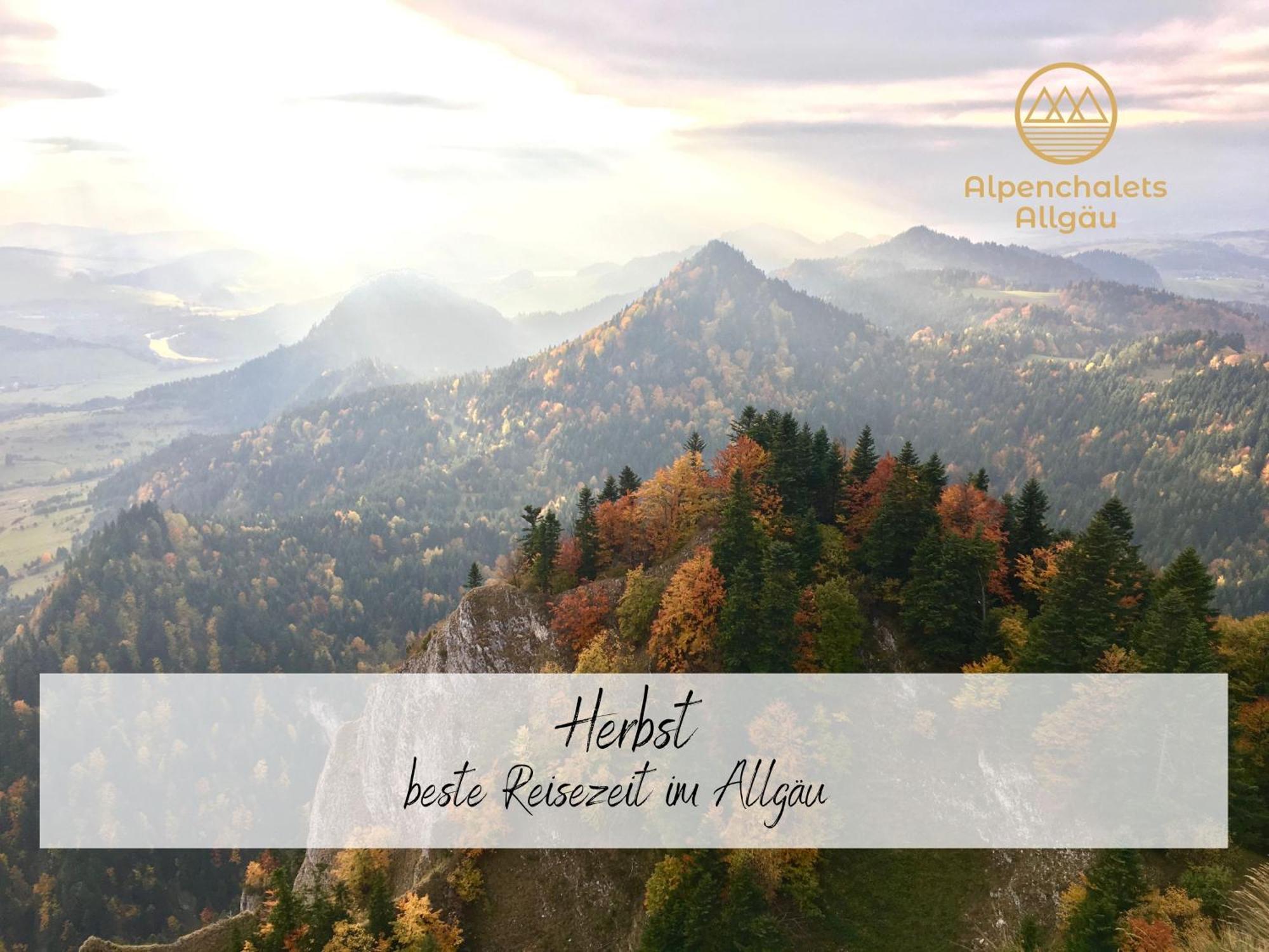 Hochwertige Alpenchalets Allgaeu Apartment