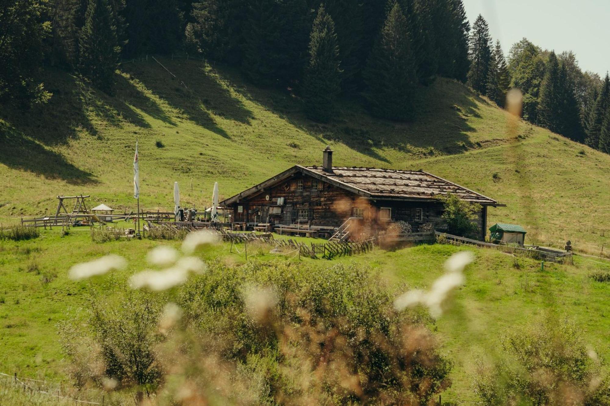 Hochwertige Alpenchalets Allgaeu *